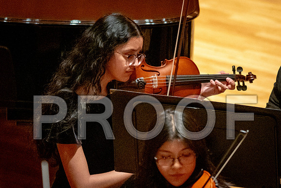 2024 University of Illinois High School Orchestra ClinicFebruary 24, 2024