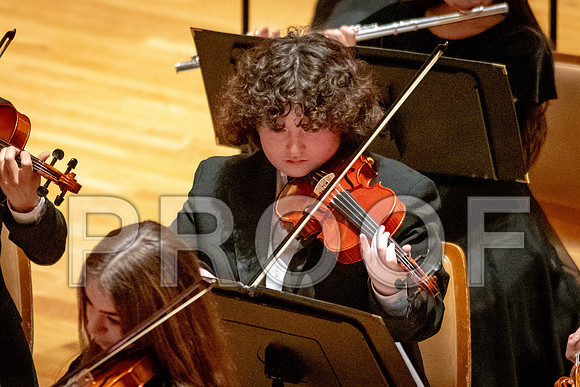2024 University of Illinois High School Orchestra ClinicFebruary 24, 2024