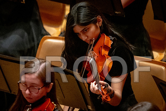 2024 University of Illinois High School Orchestra ClinicFebruary 24, 2024