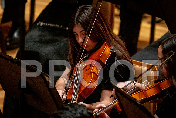 2024 University of Illinois High School Orchestra ClinicFebruary 24, 2024