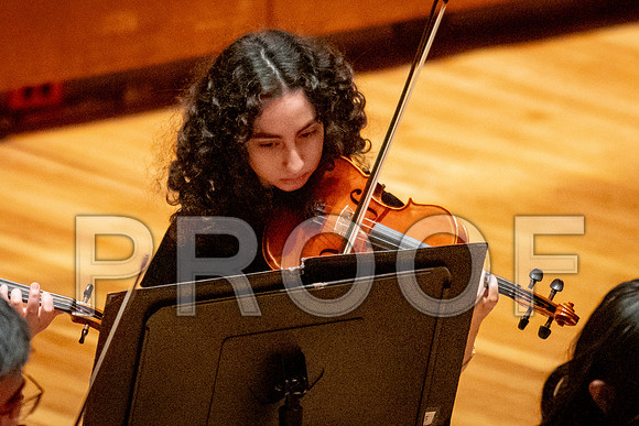 2024 University of Illinois High School Orchestra ClinicFebruary 24, 2024