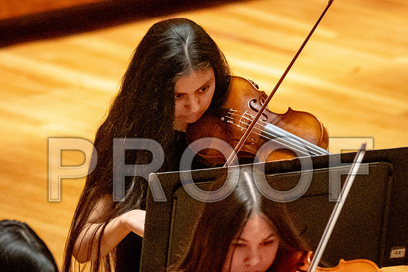 2024 University of Illinois High School Orchestra ClinicFebruary 24, 2024