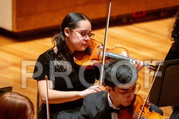 2024 University of Illinois High School Orchestra ClinicFebruary 24, 2024