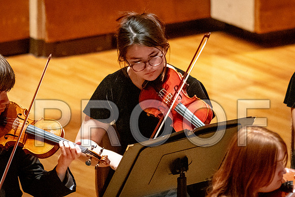 2024 University of Illinois High School Orchestra ClinicFebruary 24, 2024