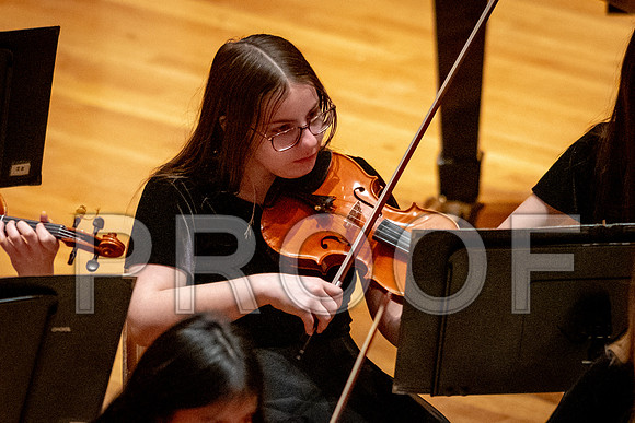 2024 University of Illinois High School Orchestra ClinicFebruary 24, 2024