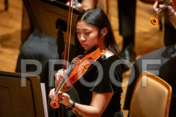 2024 University of Illinois High School Orchestra ClinicFebruary 24, 2024