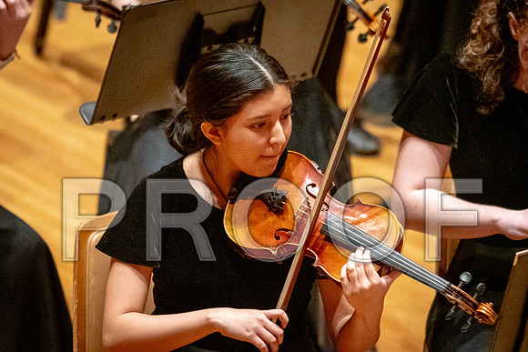 2024 University of Illinois High School Orchestra ClinicFebruary 24, 2024
