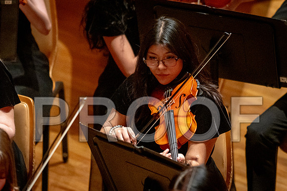 2024 University of Illinois High School Orchestra ClinicFebruary 24, 2024