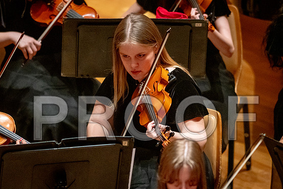 2024 University of Illinois High School Orchestra ClinicFebruary 24, 2024