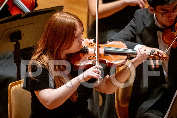 2024 University of Illinois High School Orchestra ClinicFebruary 24, 2024