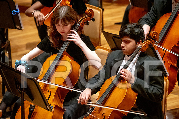 2024 University of Illinois High School Orchestra ClinicFebruary 24, 2024