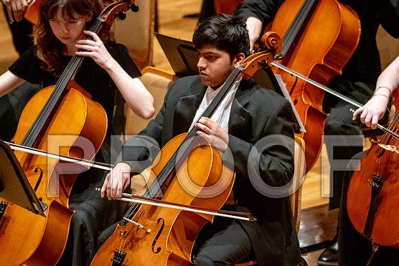 2024 University of Illinois High School Orchestra ClinicFebruary 24, 2024