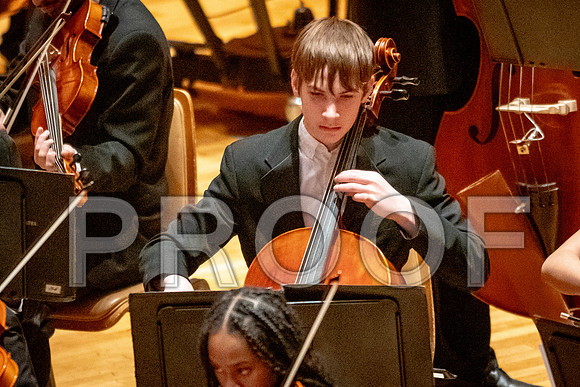 2024 University of Illinois High School Orchestra ClinicFebruary 24, 2024