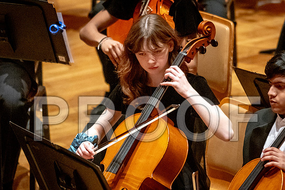 2024 University of Illinois High School Orchestra ClinicFebruary 24, 2024