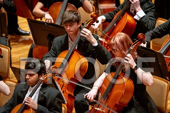2024 University of Illinois High School Orchestra ClinicFebruary 24, 2024