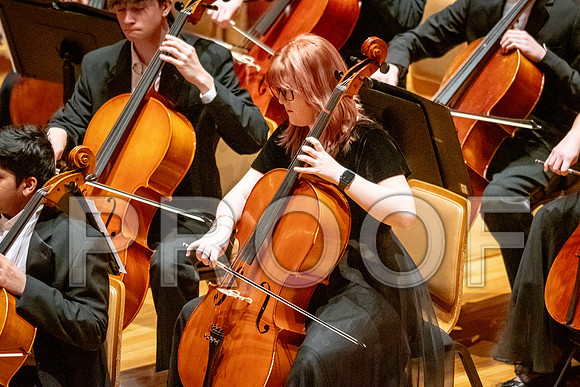 2024 University of Illinois High School Orchestra ClinicFebruary 24, 2024