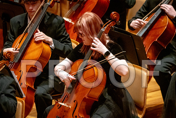 2024 University of Illinois High School Orchestra ClinicFebruary 24, 2024