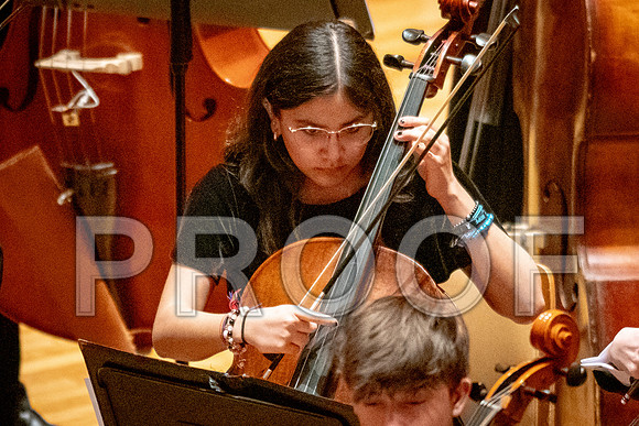 2024 University of Illinois High School Orchestra ClinicFebruary 24, 2024