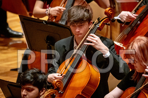 2024 University of Illinois High School Orchestra ClinicFebruary 24, 2024