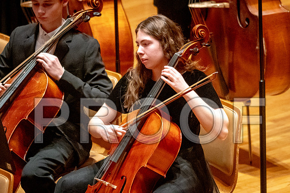 2024 University of Illinois High School Orchestra ClinicFebruary 24, 2024