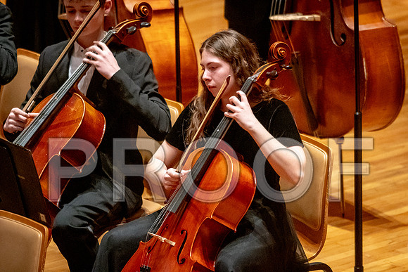 2024 University of Illinois High School Orchestra ClinicFebruary 24, 2024