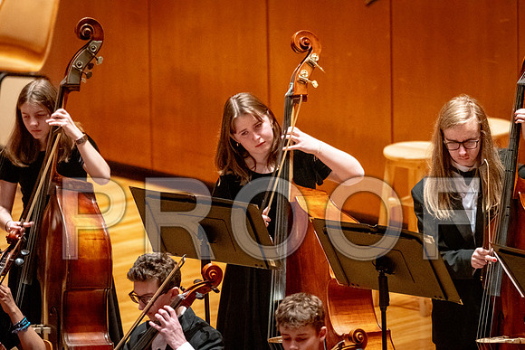 2024 University of Illinois High School Orchestra ClinicFebruary 24, 2024