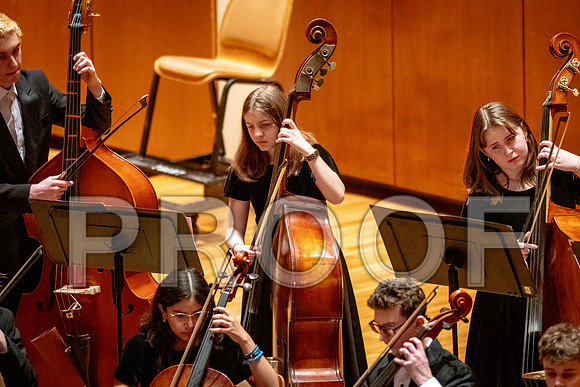 2024 University of Illinois High School Orchestra ClinicFebruary 24, 2024