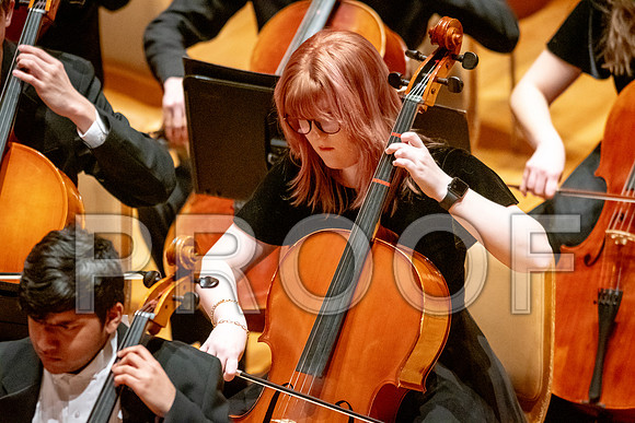 2024 University of Illinois High School Orchestra ClinicFebruary 24, 2024