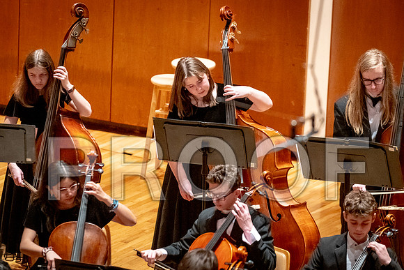2024 University of Illinois High School Orchestra ClinicFebruary 24, 2024