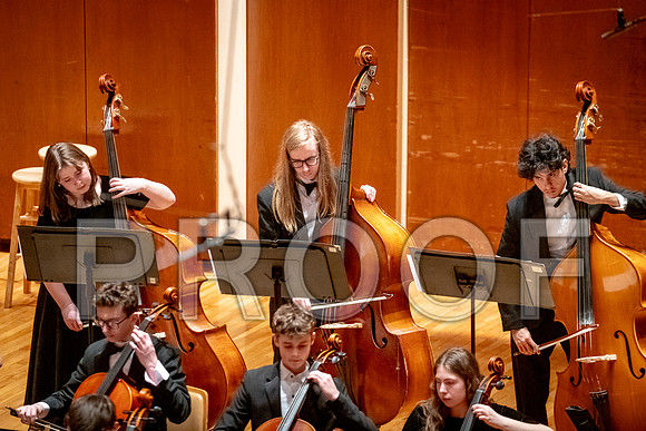 2024 University of Illinois High School Orchestra ClinicFebruary 24, 2024