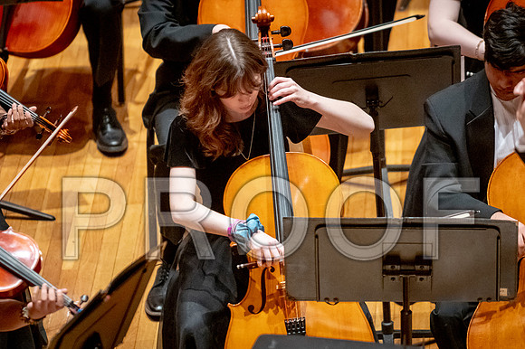 2024 University of Illinois High School Orchestra ClinicFebruary 24, 2024
