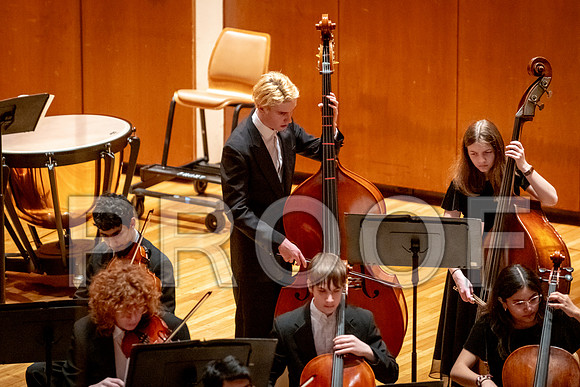 2024 University of Illinois High School Orchestra ClinicFebruary 24, 2024