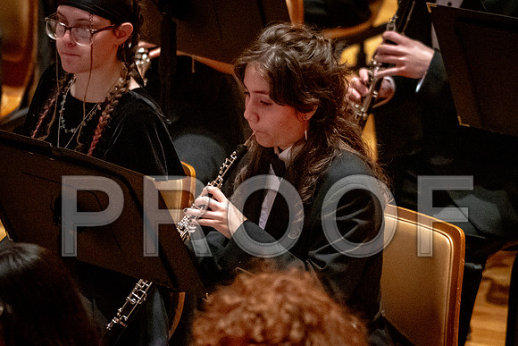 2024 University of Illinois High School Orchestra ClinicFebruary 24, 2024