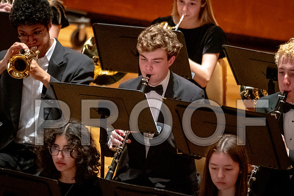 2024 University of Illinois High School Orchestra ClinicFebruary 24, 2024