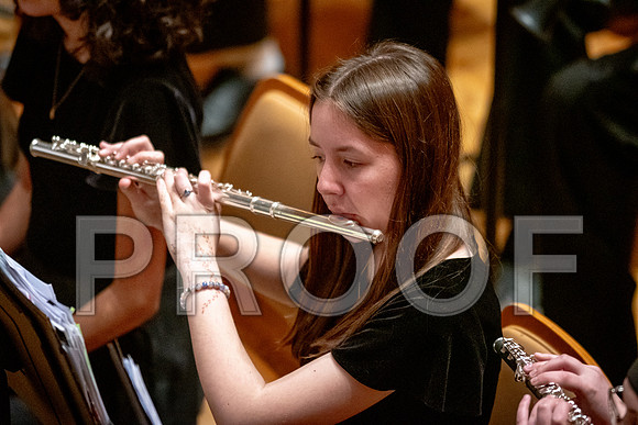 2024 University of Illinois High School Orchestra ClinicFebruary 24, 2024
