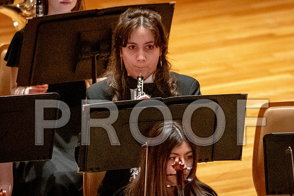 2024 University of Illinois High School Orchestra ClinicFebruary 24, 2024