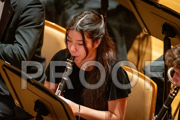 2024 University of Illinois High School Orchestra ClinicFebruary 24, 2024