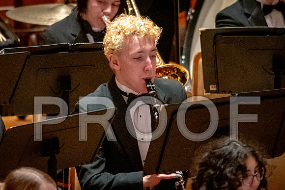 2024 University of Illinois High School Orchestra ClinicFebruary 24, 2024