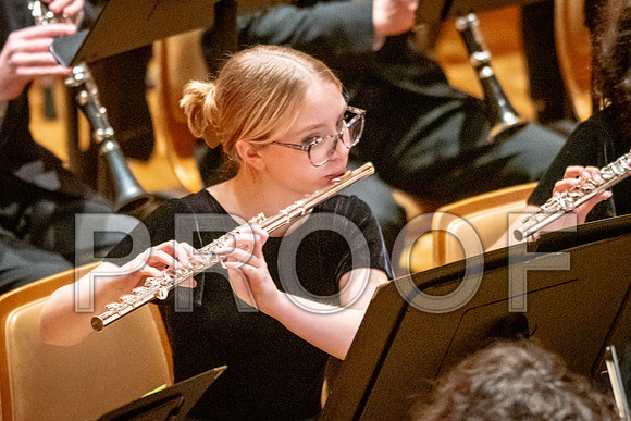 2024 University of Illinois High School Orchestra ClinicFebruary 24, 2024