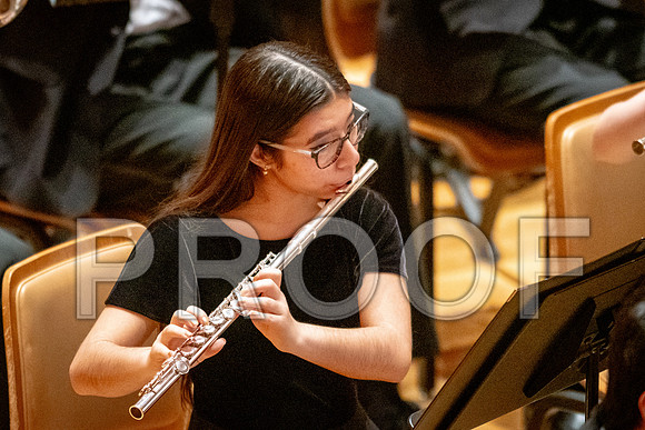 2024 University of Illinois High School Orchestra ClinicFebruary 24, 2024