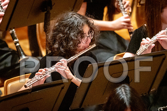 2024 University of Illinois High School Orchestra ClinicFebruary 24, 2024