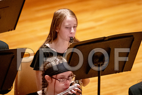 2024 University of Illinois High School Orchestra ClinicFebruary 24, 2024