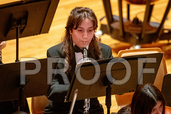 2024 University of Illinois High School Orchestra ClinicFebruary 24, 2024