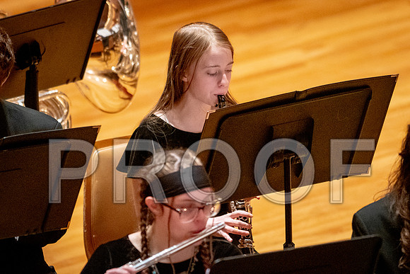 2024 University of Illinois High School Orchestra ClinicFebruary 24, 2024