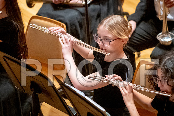 2024 University of Illinois High School Orchestra ClinicFebruary 24, 2024