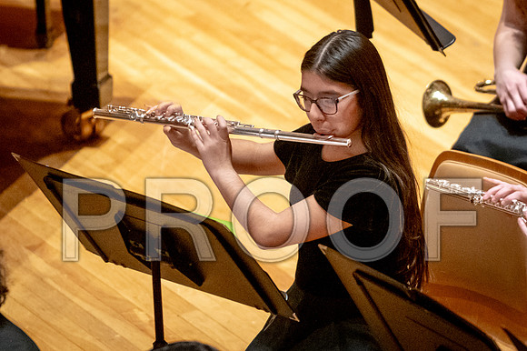 2024 University of Illinois High School Orchestra ClinicFebruary 24, 2024