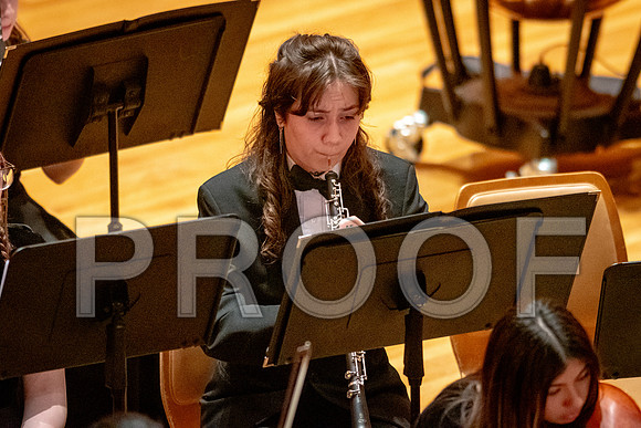 2024 University of Illinois High School Orchestra ClinicFebruary 24, 2024