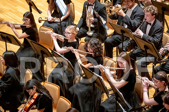 2024 University of Illinois High School Orchestra ClinicFebruary 24, 2024