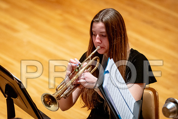 2024 University of Illinois High School Orchestra ClinicFebruary 24, 2024