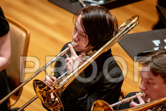 2024 University of Illinois High School Orchestra ClinicFebruary 24, 2024